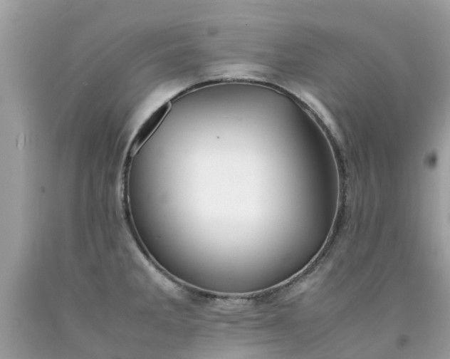 X0000090431285200707272123