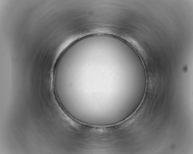 X0000090431286200707272123