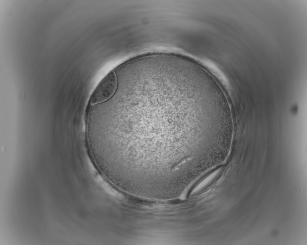 X0000090431287200707272123