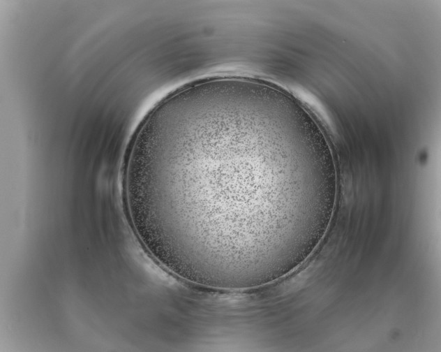 X0000090431288200707272123