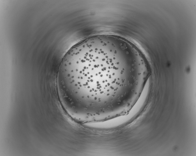 X0000090431289200707272123