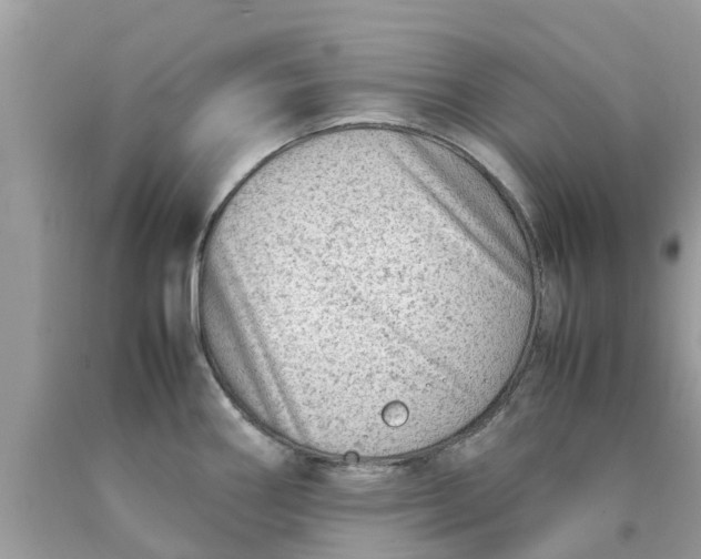 X0000090431290200707272123