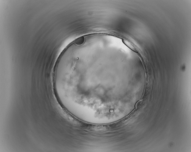 X0000090431291200707272123