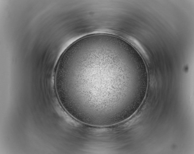 X0000090431292200707272123