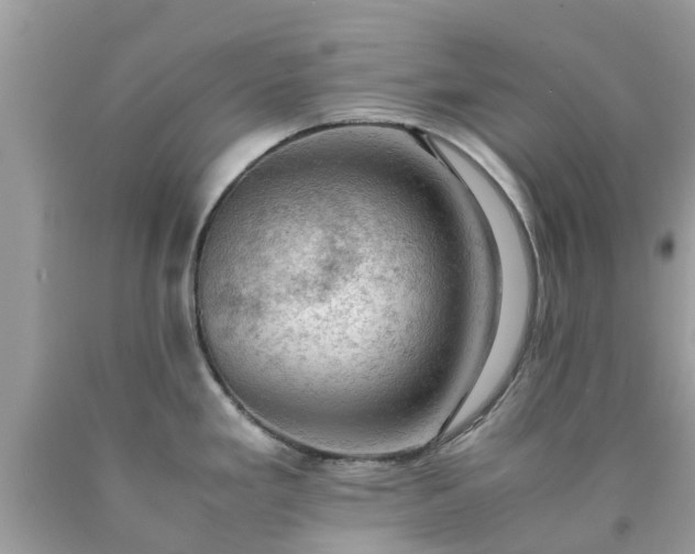 X0000090431293200707272123