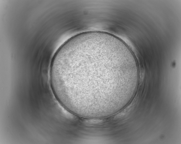 X0000090431294200707272123