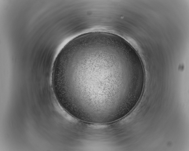 X0000090431296200707272123