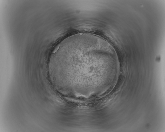 X0000090431297200707272123