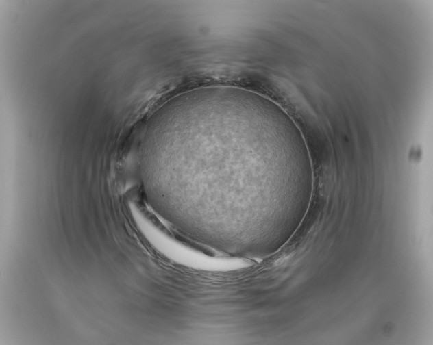 X0000090431298200707272123