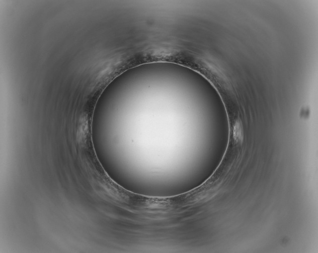 X0000090431299200707272123