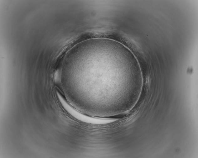 X0000090431300200707272123