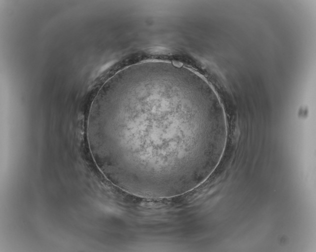 X0000090431301200707272123