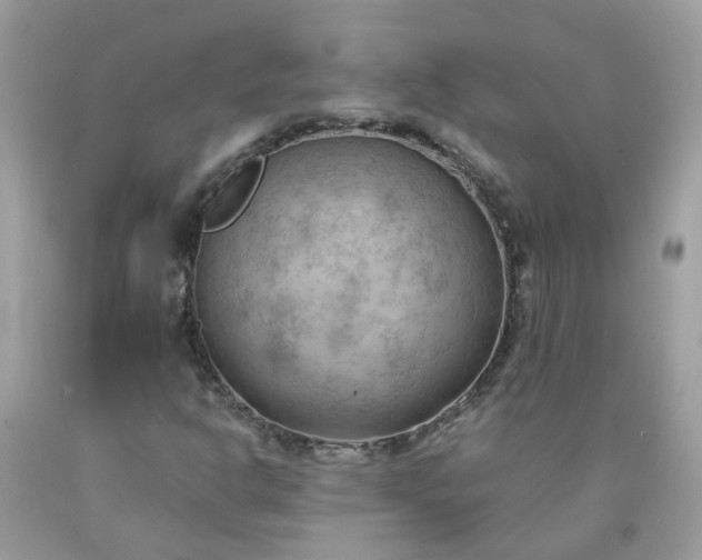 X0000090431302200707272123