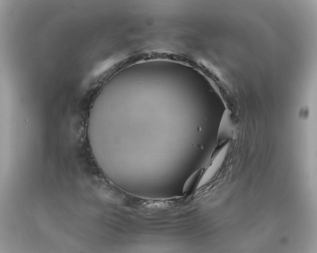 X0000090431303200707272123