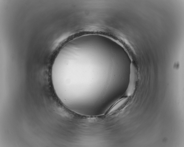 X0000090431304200707272123