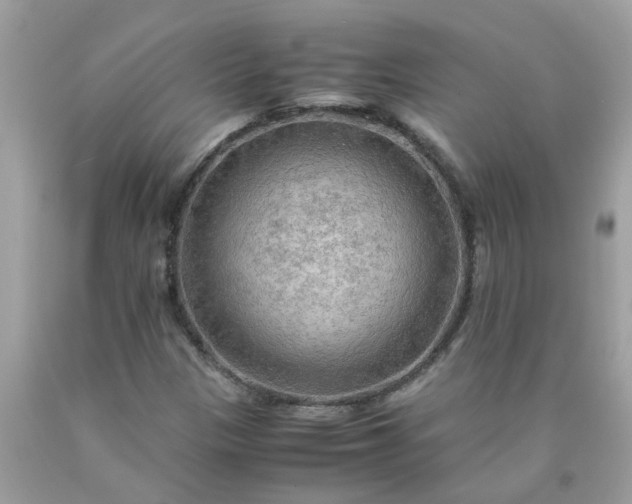 X0000090431305200707272123