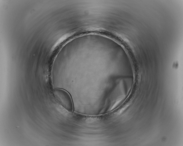 X0000090431306200707272123