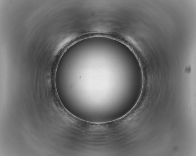 X0000090431307200707272123