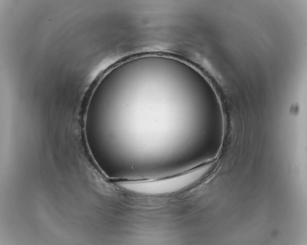 X0000090431308200707272123