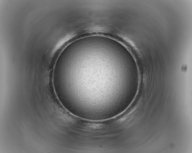 X0000090431309200707272123