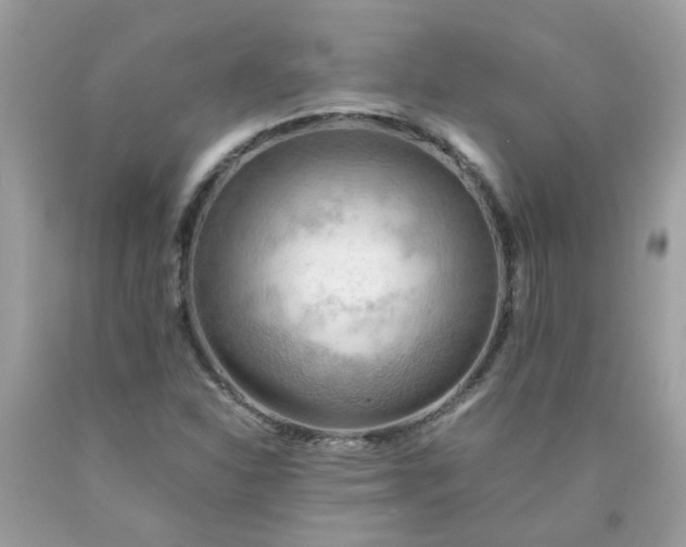 X0000090431310200707272123