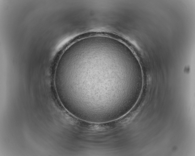 X0000090431311200707272123