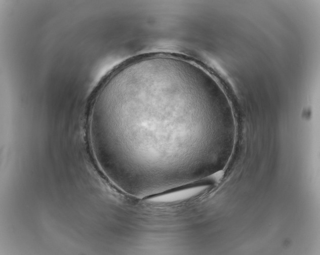 X0000090431312200707272123