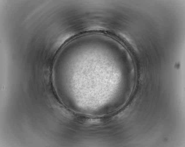 X0000090431313200707272123