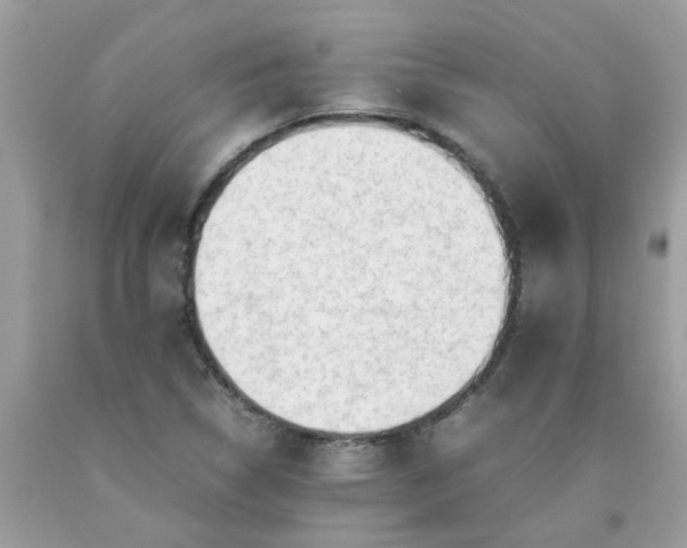 X0000090431314200707272123