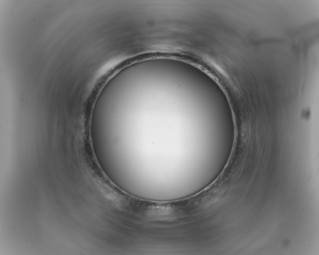 X0000090431315200707272123