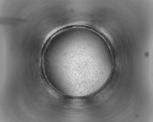 X0000090431316200707272123