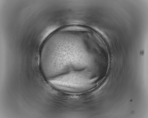 X0000090431317200707272123