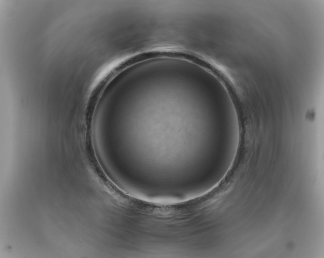 X0000090431319200707272123