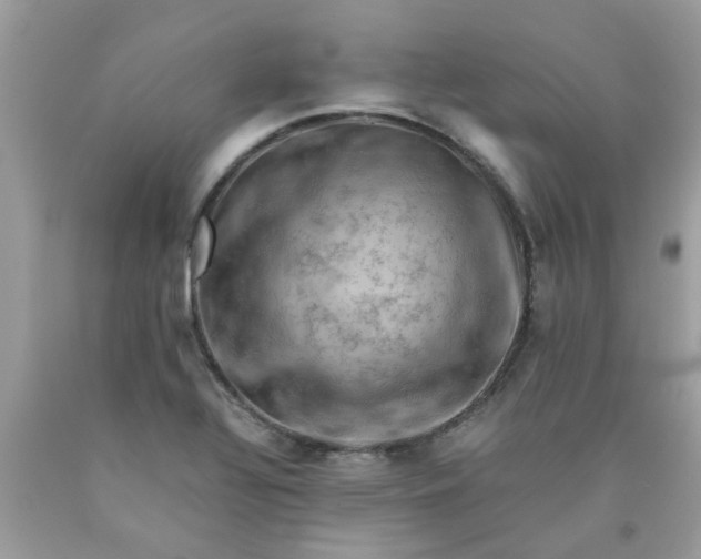 X0000090431320200707272123