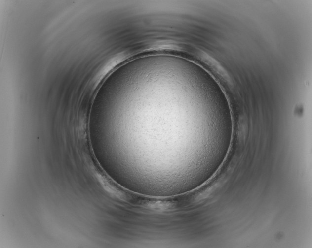 X0000090431321200707272123