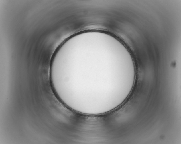 X0000090431322200707272123