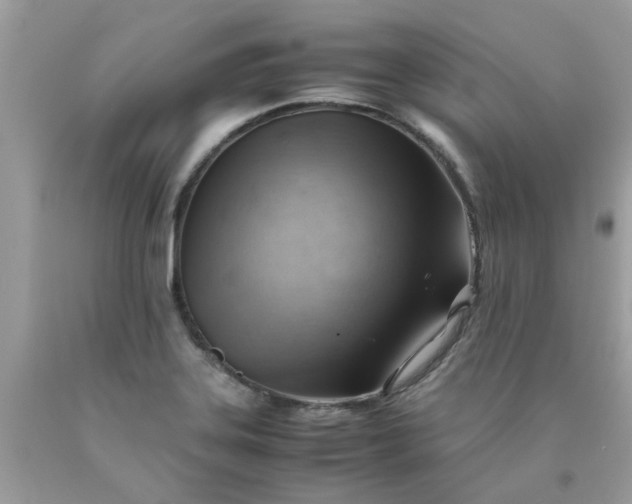 X0000090431323200707272123