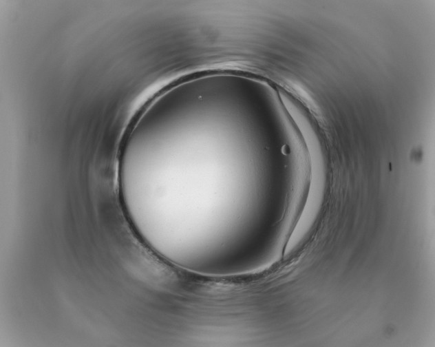 X0000090431324200707272123