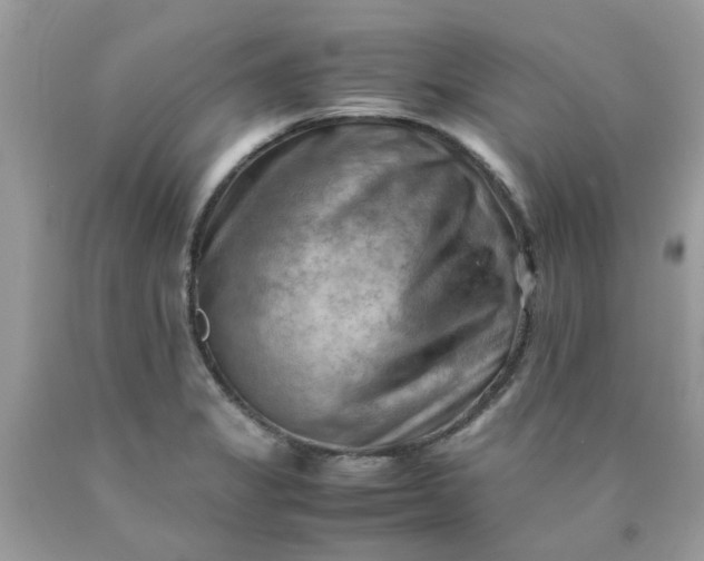 X0000090431325200707272123