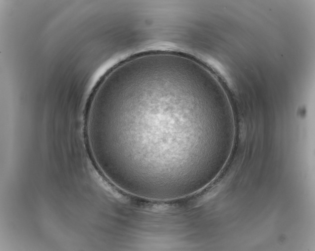 X0000090431326200707272123