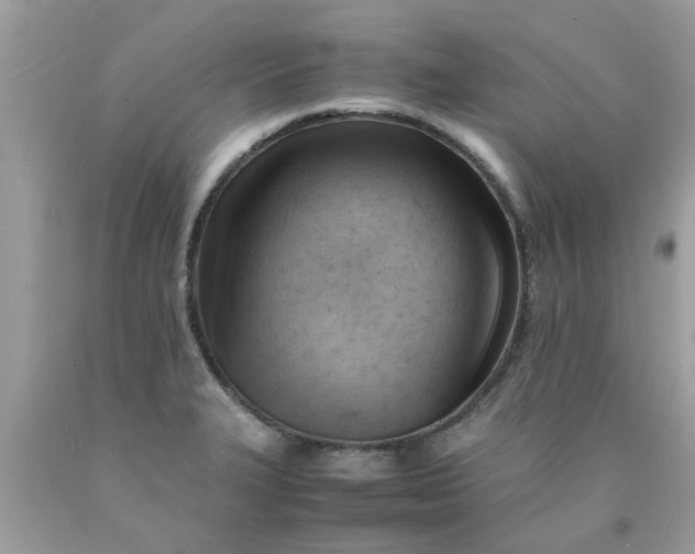 X0000090431327200707272123