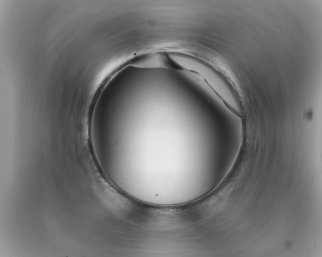 X0000090431328200707272123