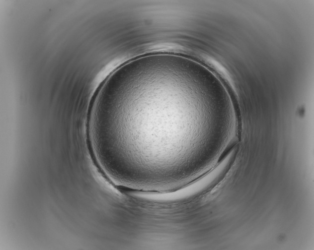 X0000090431330200707272123