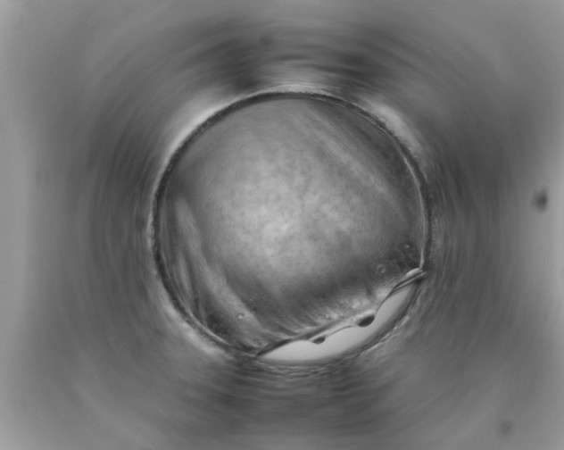 X0000090431331200707272123