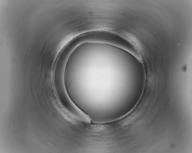 X0000090431332200707272123