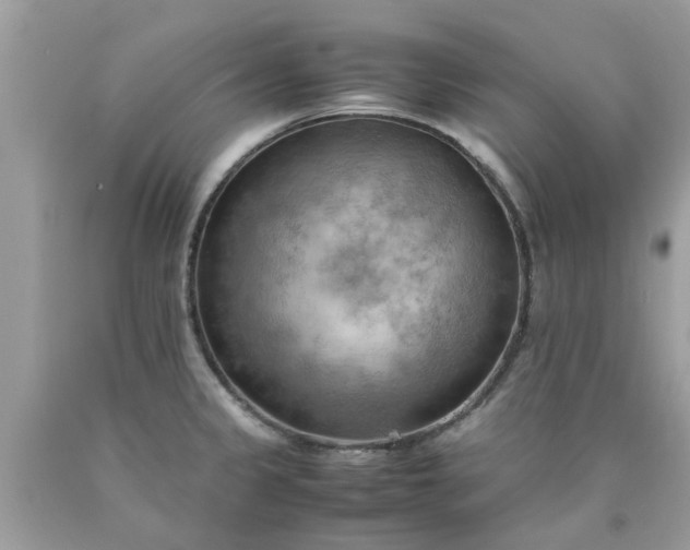 X0000090431333200707272123