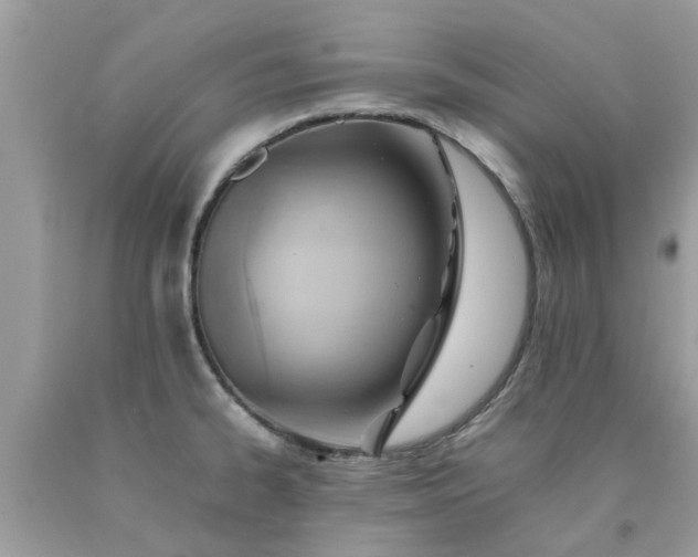 X0000090431334200707272123