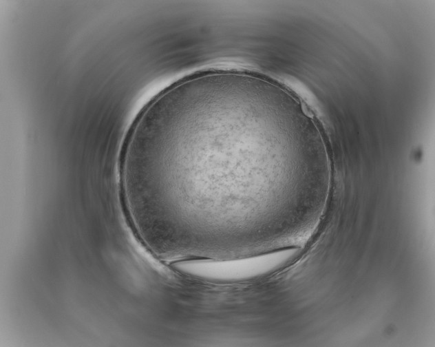 X0000090431335200707272123