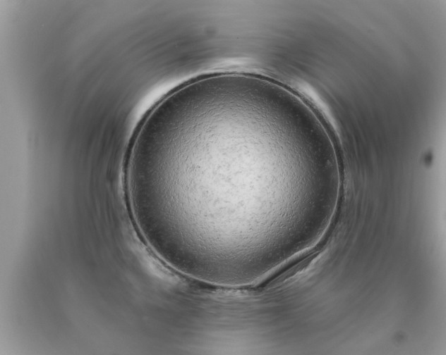 X0000090431336200707272123