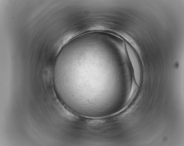 X0000090431337200707272123